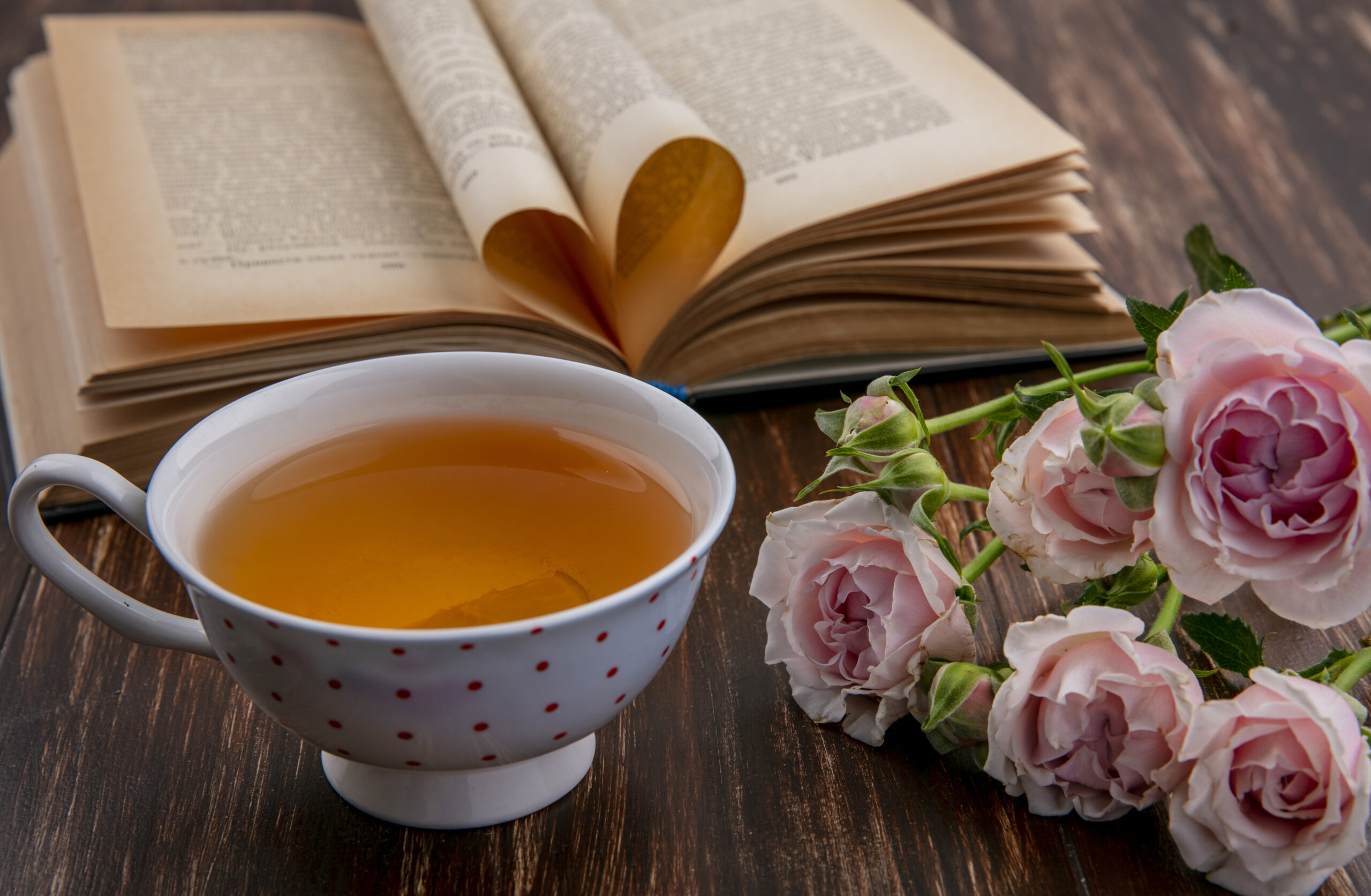 Tea and Literature:A Journey Through Flavors and Stories