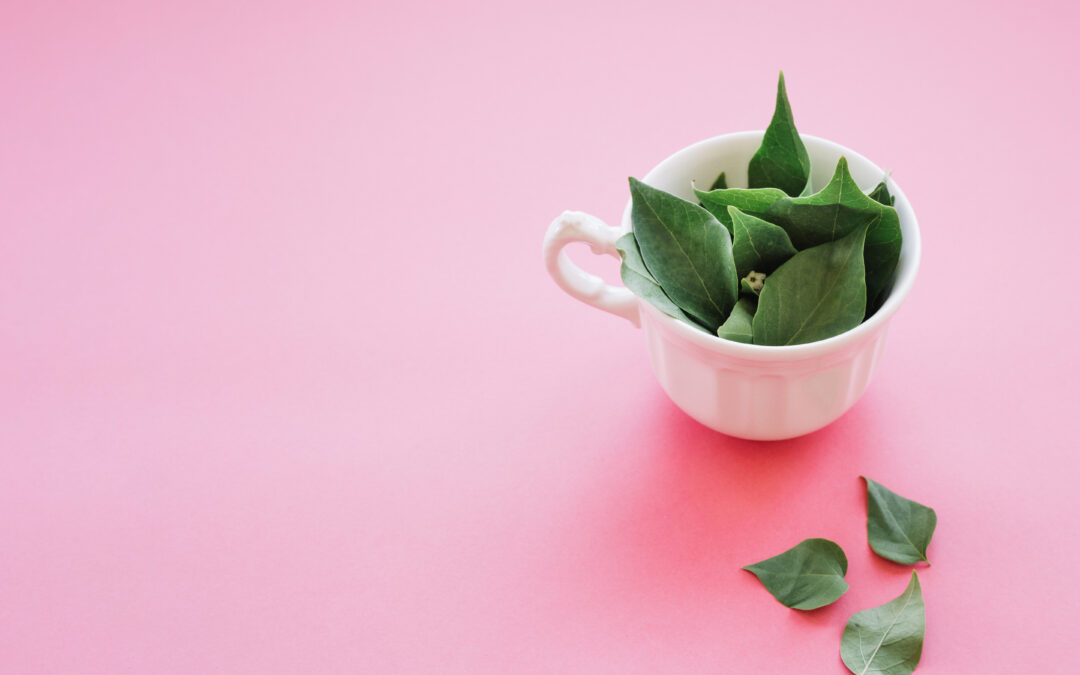 The Power of Matcha Tea in Breast Cancer Prevention