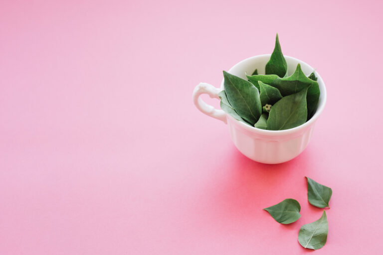 The Power of Matcha Tea in Breast Cancer Prevention